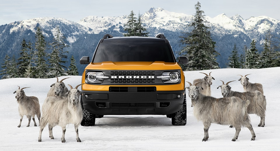 2021 Ford Bronco Sport