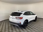 2020 Ford Escape Hybrid SE Sport Hybrid