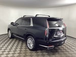 2023 Cadillac Escalade 4WD Premium Luxury