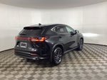 2024 Lexus NX 350h NX 350h