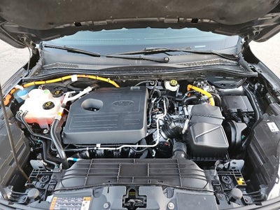 2020 Ford Escape Titanium Hybrid